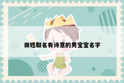 田姓取名有诗意的男宝宝名字