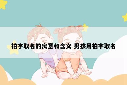 柏字取名的寓意和含义 男孩用柏字取名