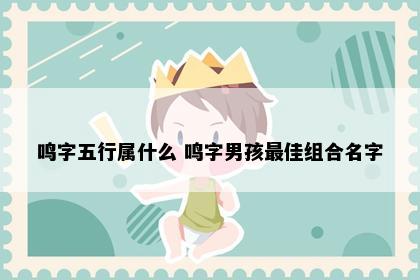 鸣字五行属什么 鸣字男孩最佳组合名字