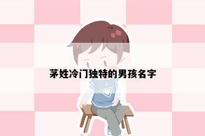 茅姓冷门独特的男孩名字