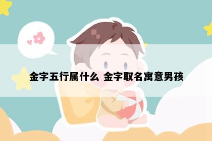 金字五行属什么 金字取名寓意男孩