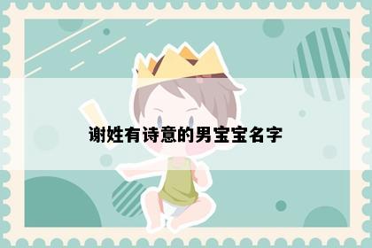 谢姓有诗意的男宝宝名字