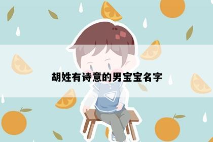 胡姓有诗意的男宝宝名字