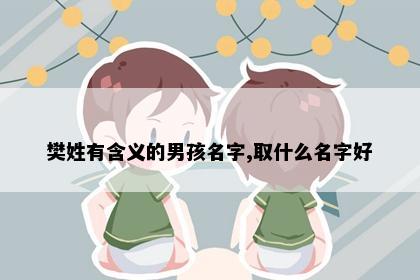 樊姓有含义的男孩名字,取什么名字好